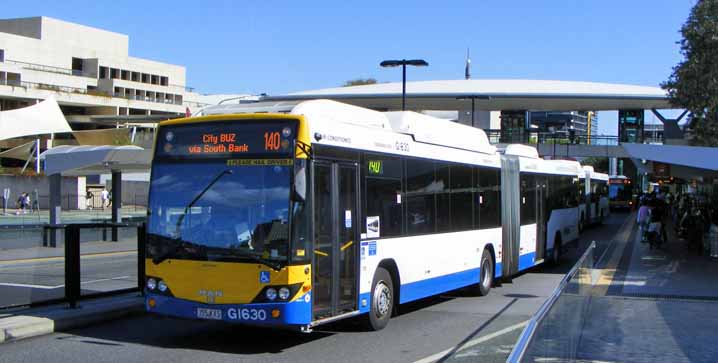 Brisbane Transport MAN NG313F Custom CB60 Evo II bendibus G1630